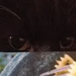 Meet your Posher, Torment